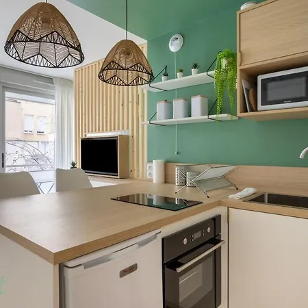 Wehost - Rosiere - Very With Balcony And Parking * Lyon